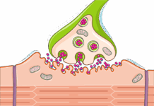 중증근무력증 환자가 주의하여야 할 약제