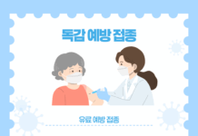독감예방접종 안내 독감백신